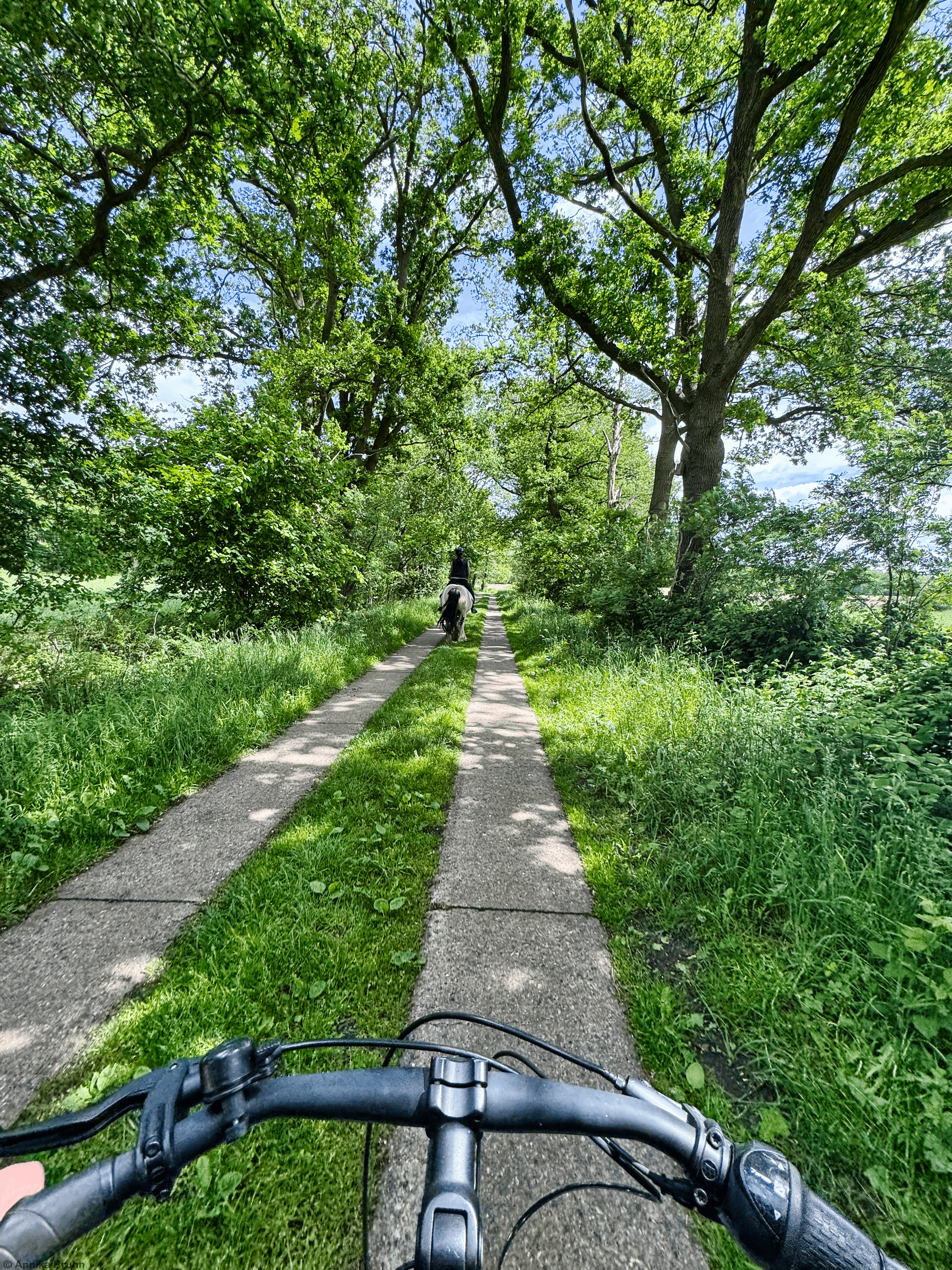 Kleiner Ausritt mit dem Rad